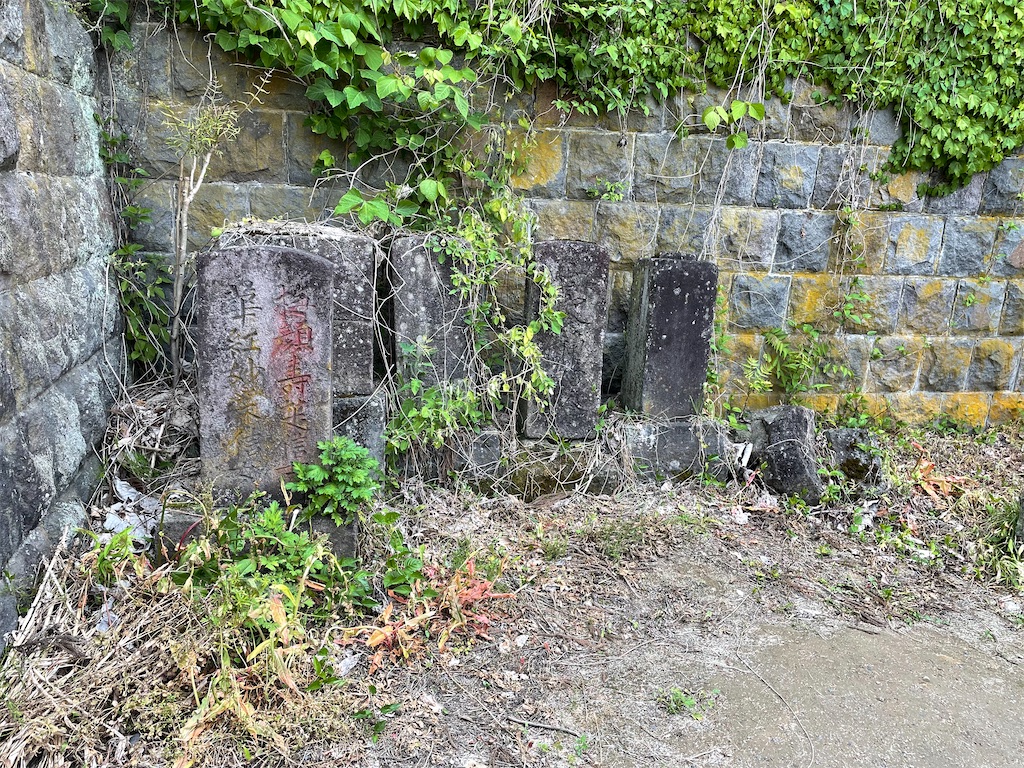 f:id:kamemochi:20220530143603j:image