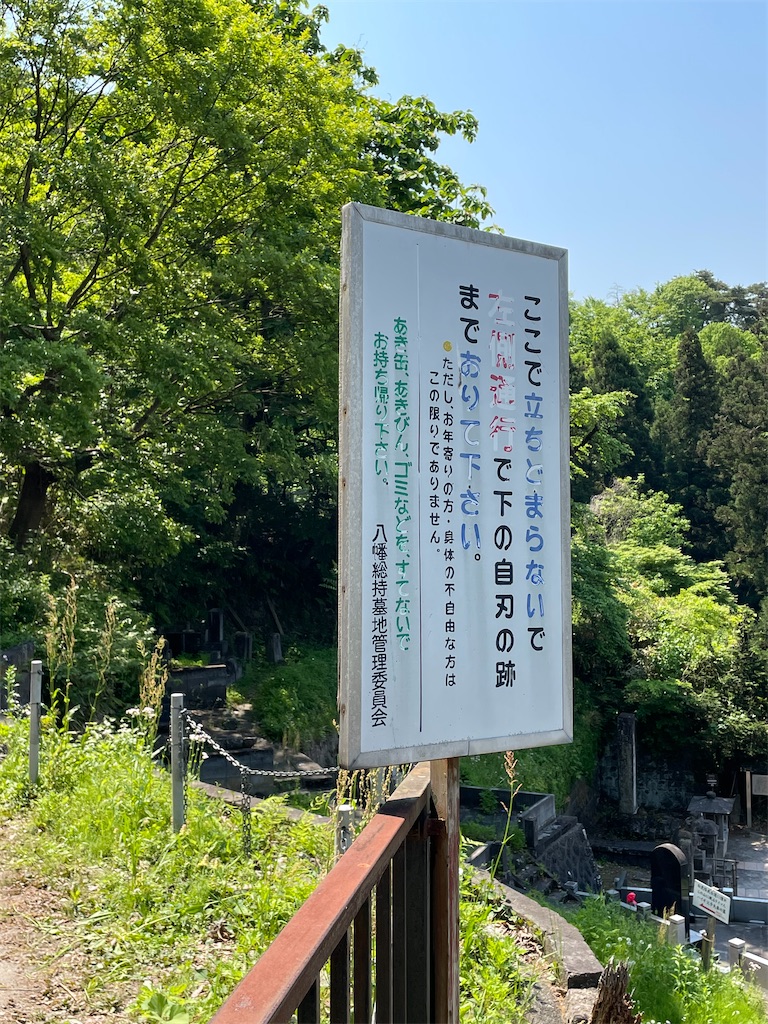 f:id:kamemochi:20220530143626j:image