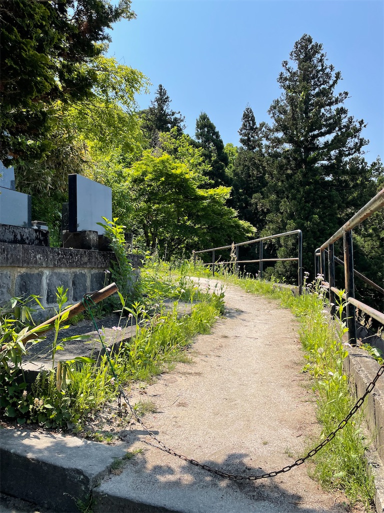 f:id:kamemochi:20220530143632j:image