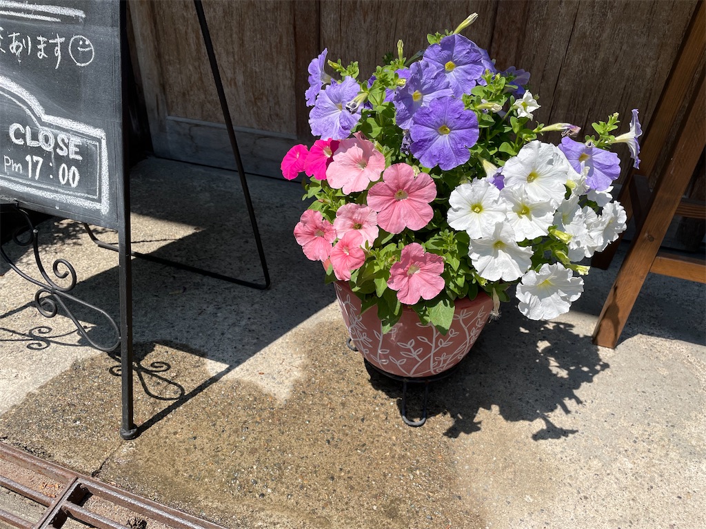 f:id:kamemochi:20220530143635j:image