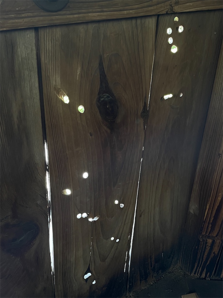 f:id:kamemochi:20220530143959j:image