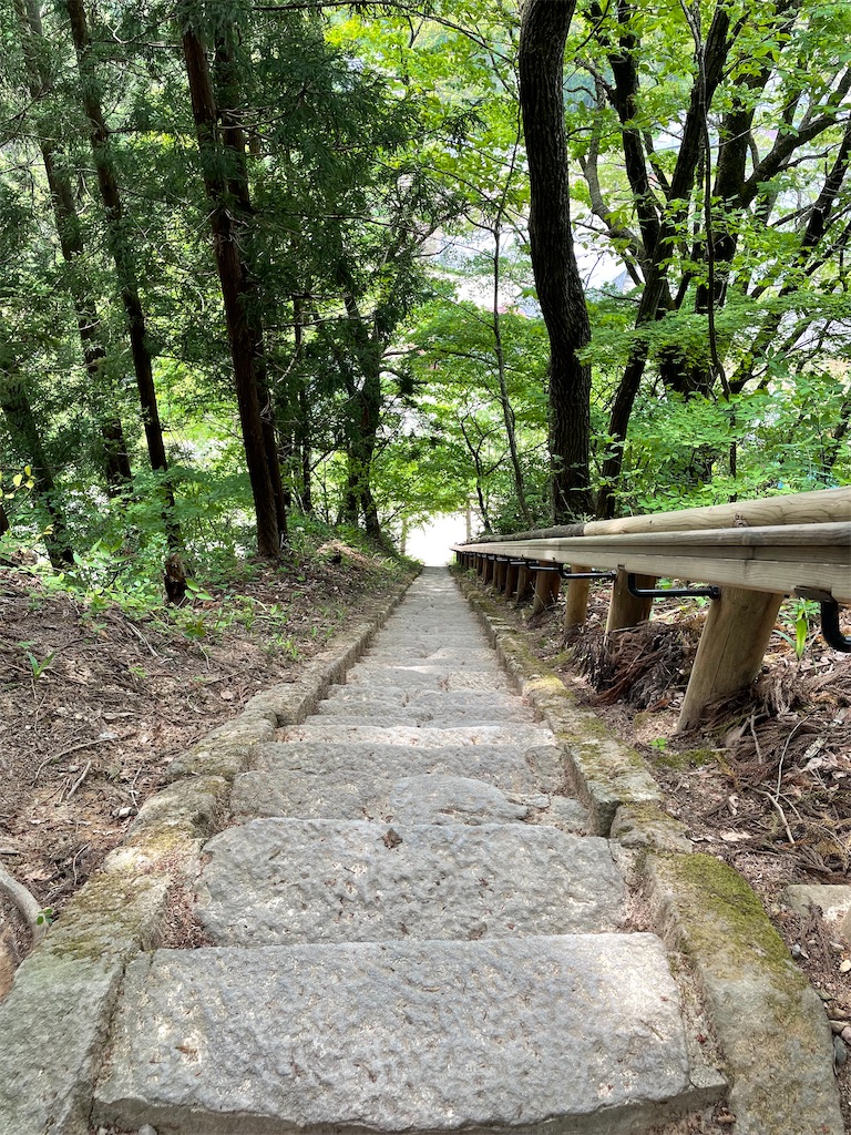 f:id:kamemochi:20220608224239j:image f:id:kamemochi:20220608224239j:image