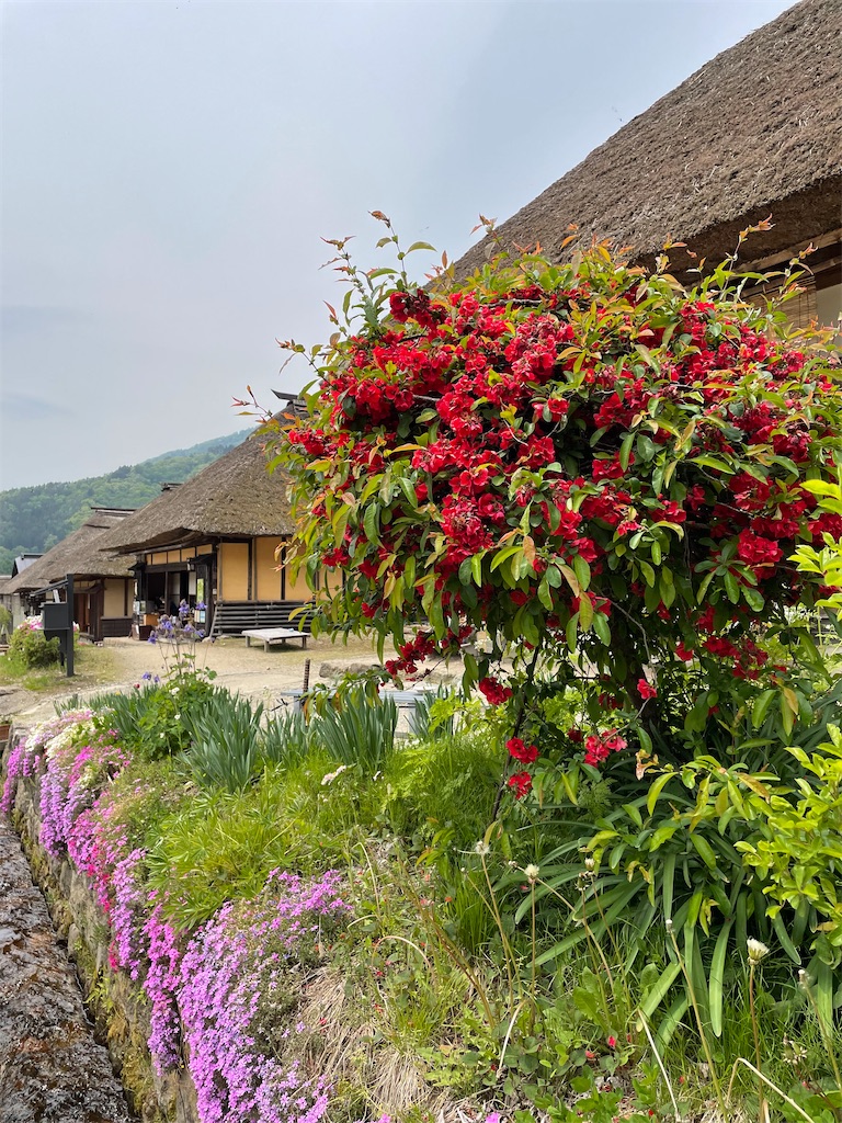 f:id:kamemochi:20220608224257j:image f:id:kamemochi:20220608224257j:image