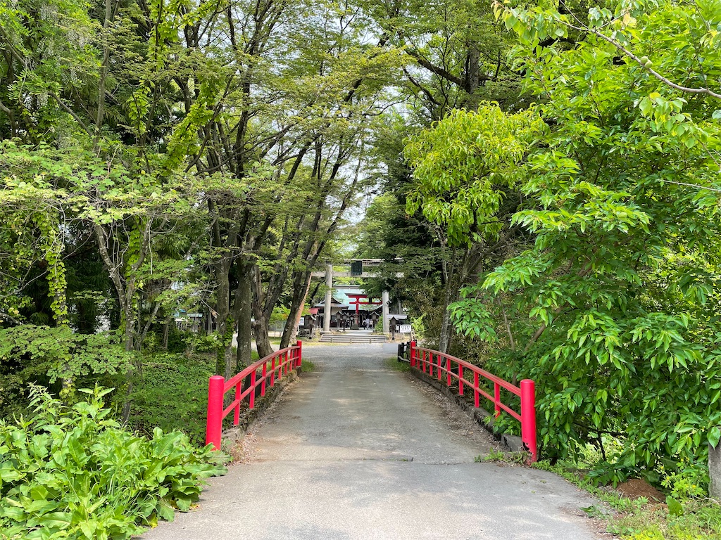 f:id:kamemochi:20220609231606j:image