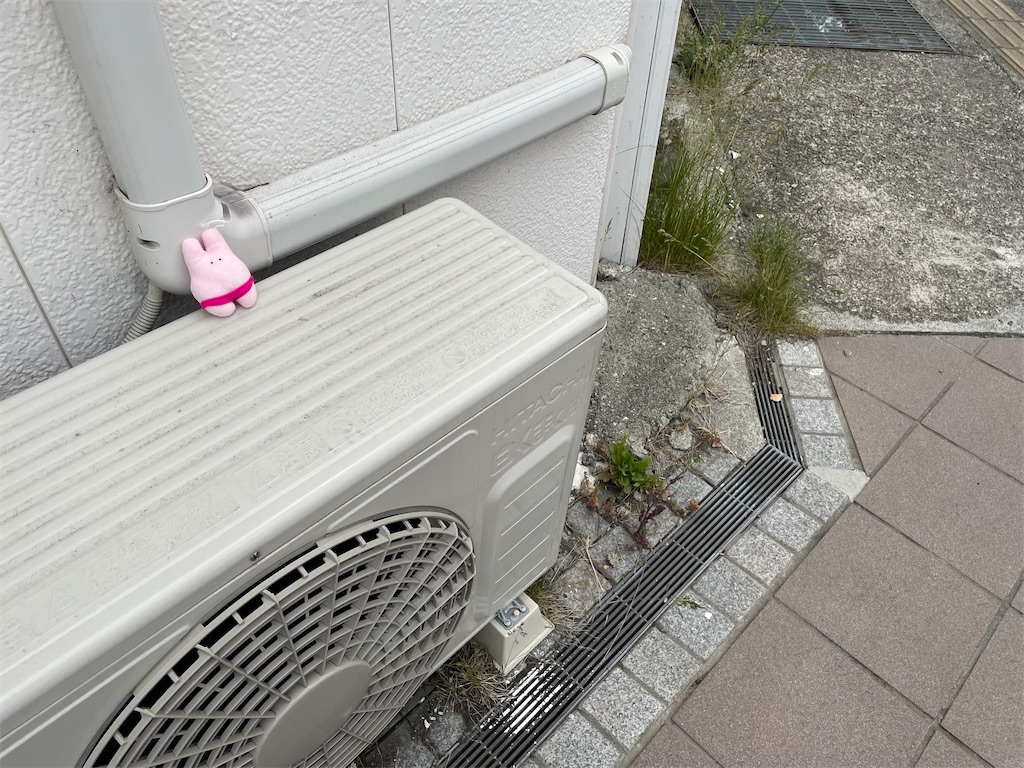 f:id:kamemochi:20220609232037j:image