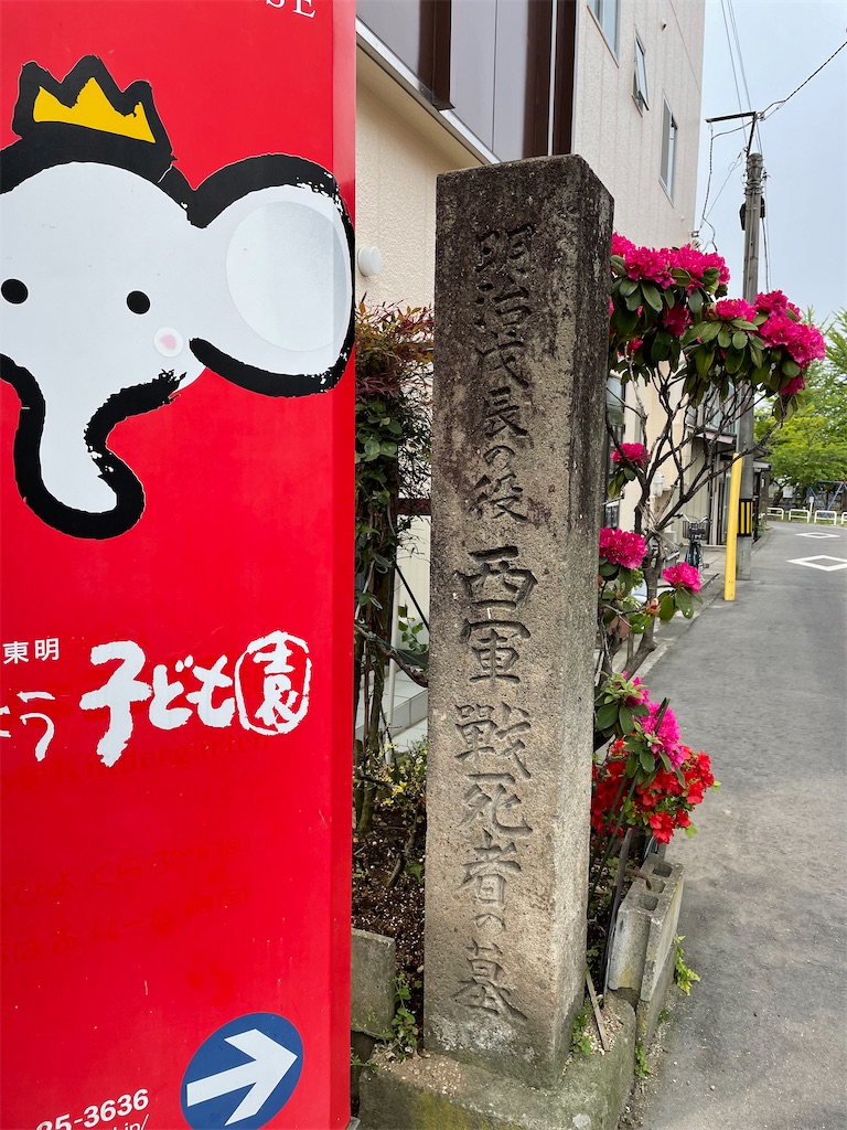f:id:kamemochi:20220609232046j:image