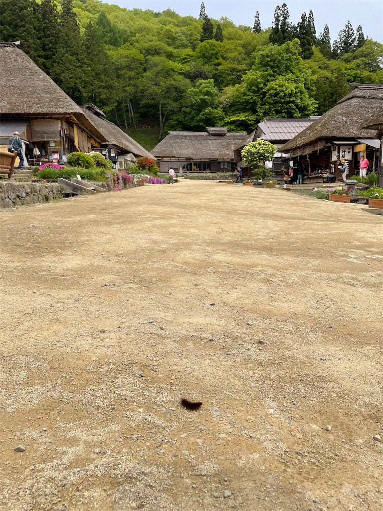 f:id:kamemochi:20220610001010j:image f:id:kamemochi:20220610001010j:image