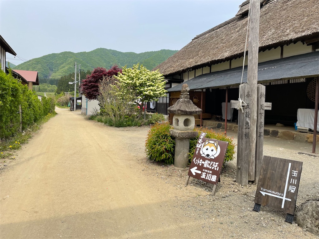 f:id:kamemochi:20220610001015j:image f:id:kamemochi:20220610001015j:image