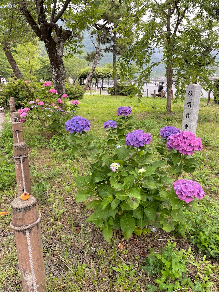f:id:kamemochi:20220702002128j:image f:id:kamemochi:20220702002128j:image