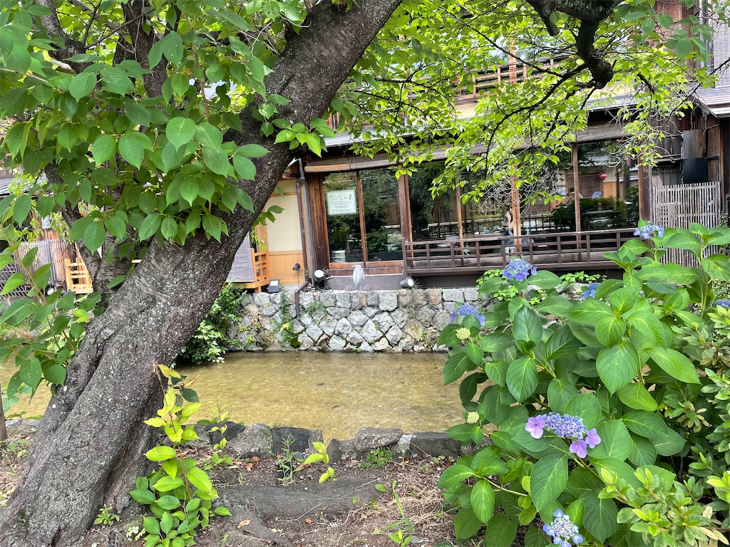 f:id:kamemochi:20220702002142j:image f:id:kamemochi:20220702002142j:image