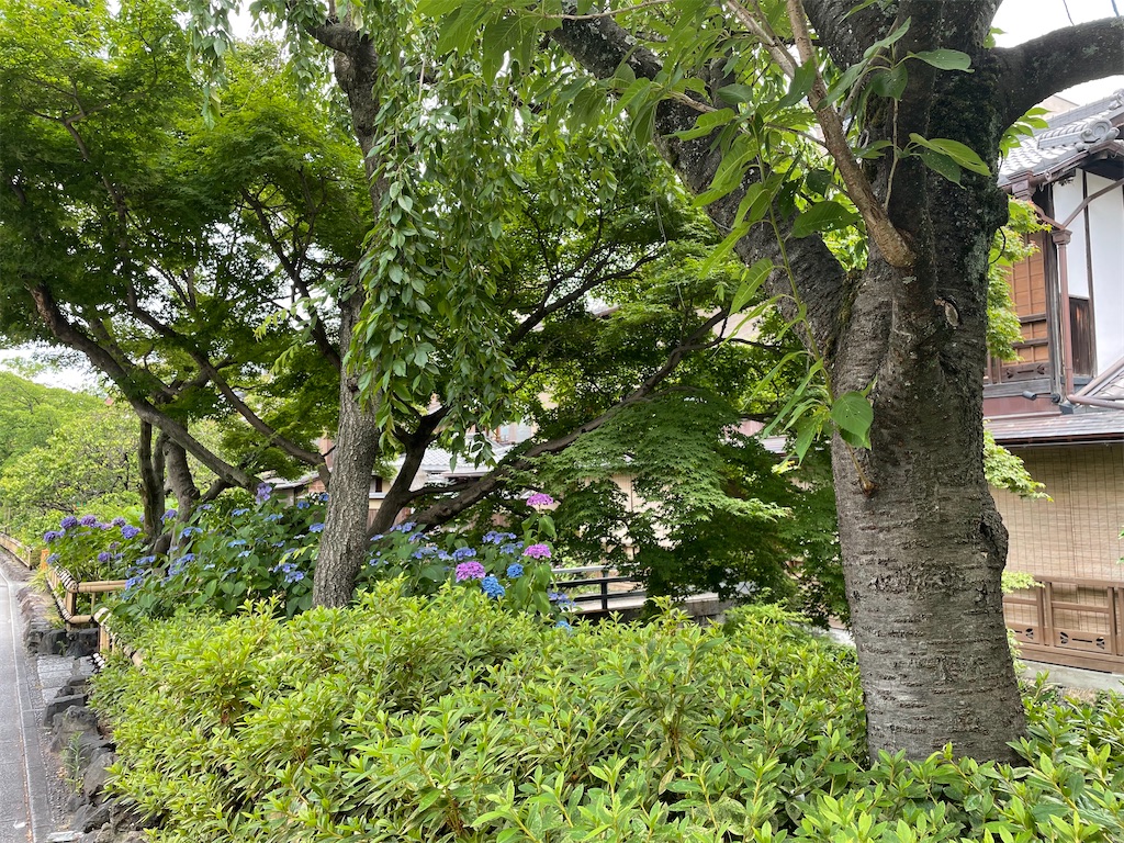f:id:kamemochi:20220702002159j:image f:id:kamemochi:20220702002159j:image