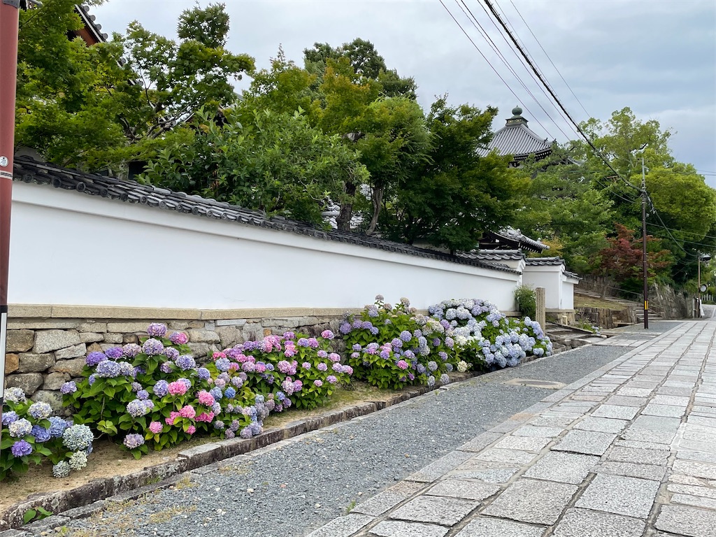 f:id:kamemochi:20220708235852j:image f:id:kamemochi:20220708235852j:image