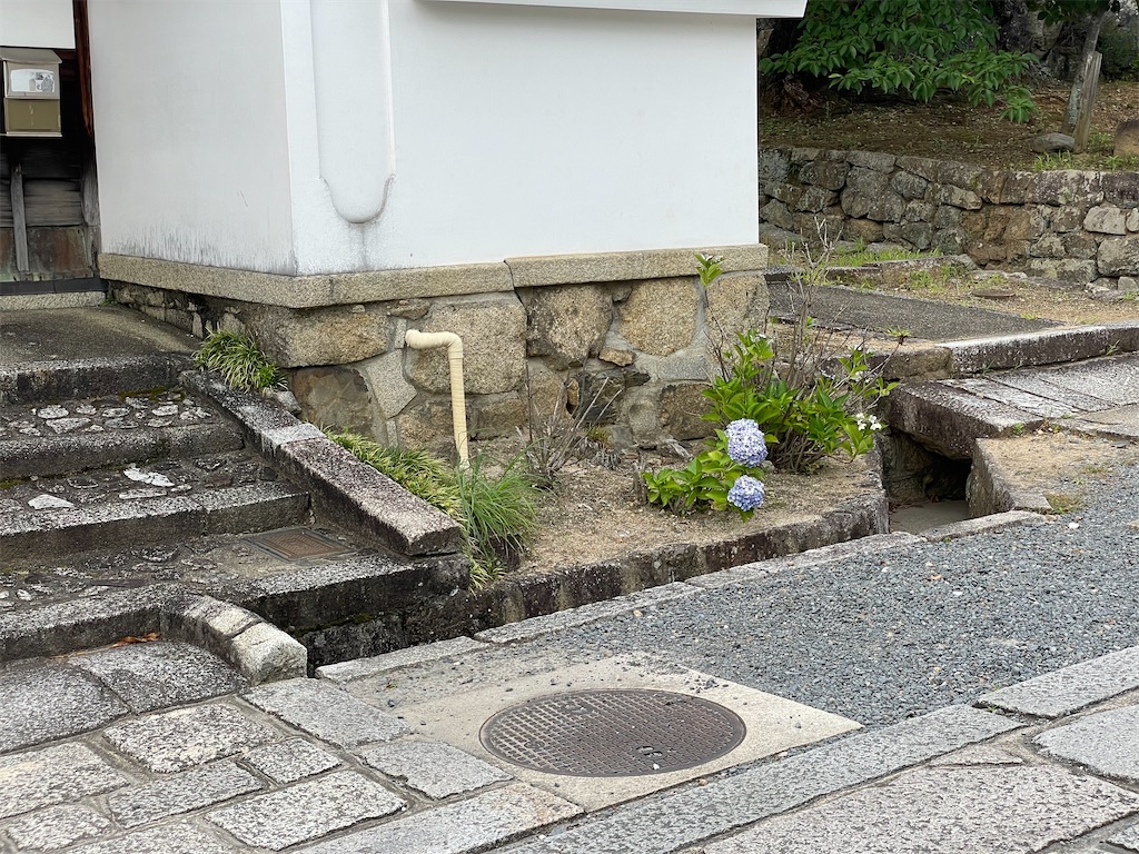 f:id:kamemochi:20220708235858j:image f:id:kamemochi:20220708235858j:image