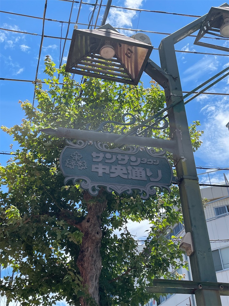 f:id:kamemochi:20220730121300j:image