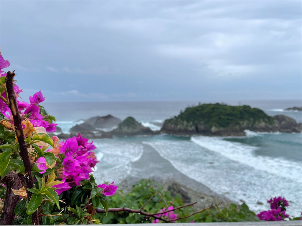 f:id:kamemochi:20220730122902j:image