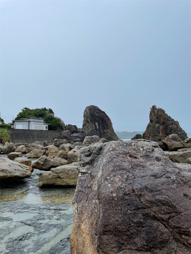 f:id:kamemochi:20220730122907j:image