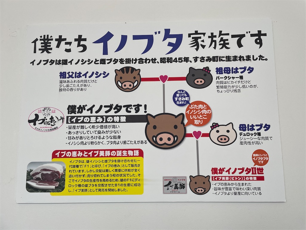 f:id:kamemochi:20220730122937j:image
