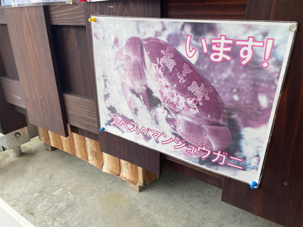 f:id:kamemochi:20220730122941j:image
