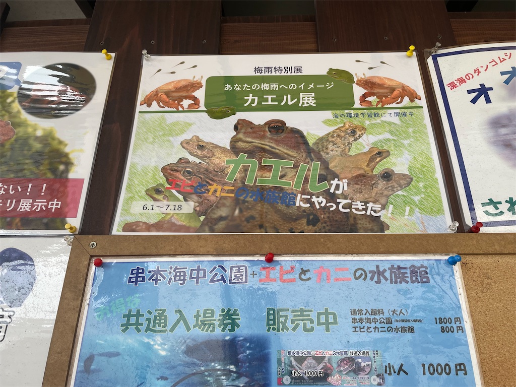 f:id:kamemochi:20220730122945j:image