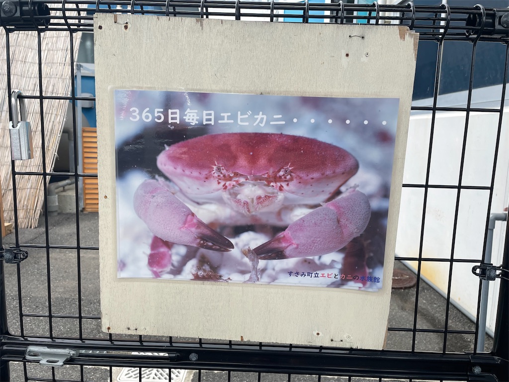 f:id:kamemochi:20220730122949j:image