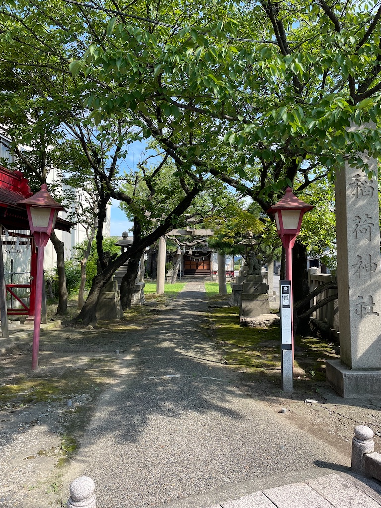f:id:kamemochi:20220912201939j:image