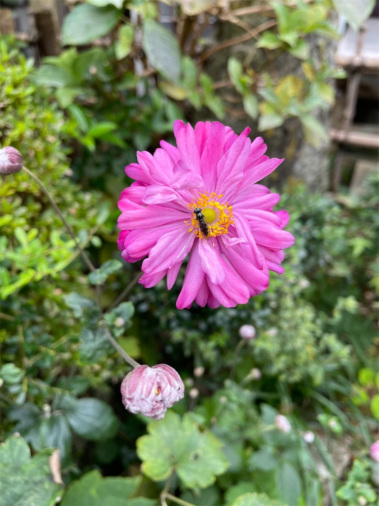 f:id:kamemochi:20221031231939j:image f:id:kamemochi:20221031231939j:image
