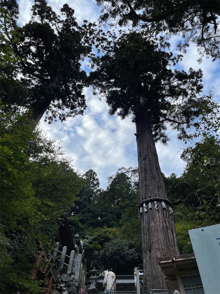 f:id:kamemochi:20221104125959j:image f:id:kamemochi:20221104125959j:image