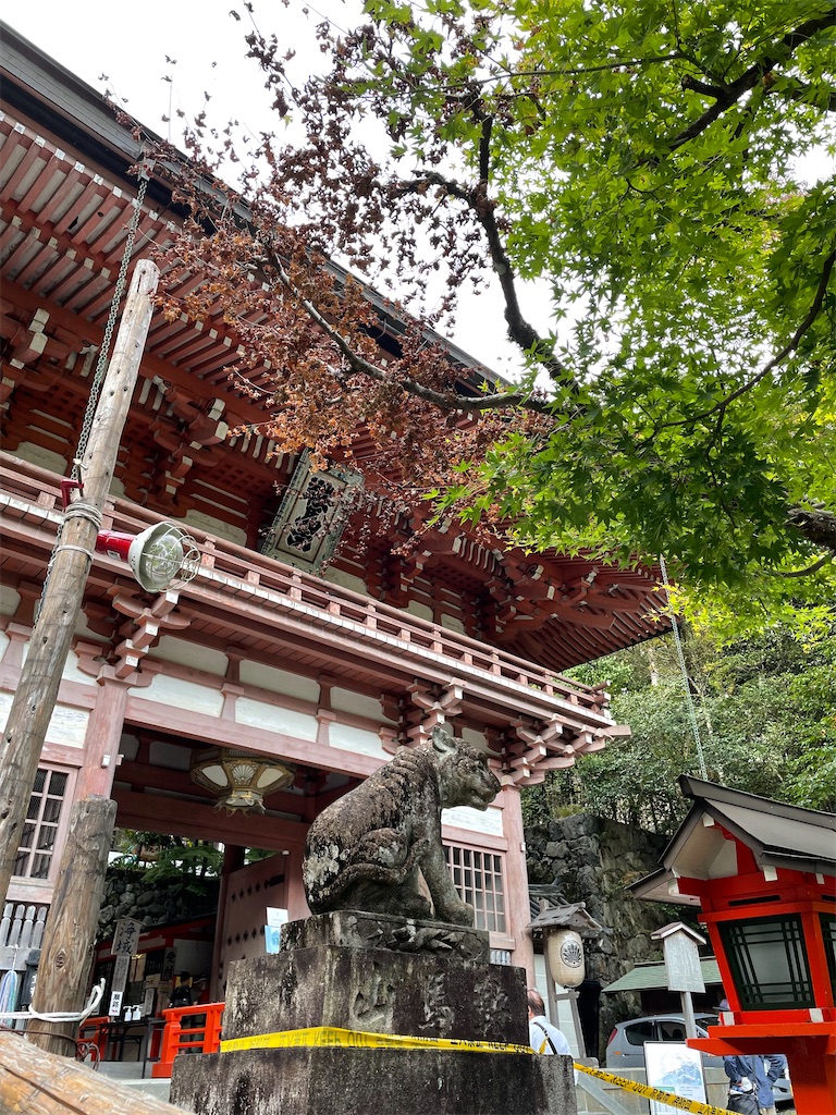 f:id:kamemochi:20221104130006j:image f:id:kamemochi:20221104130006j:image