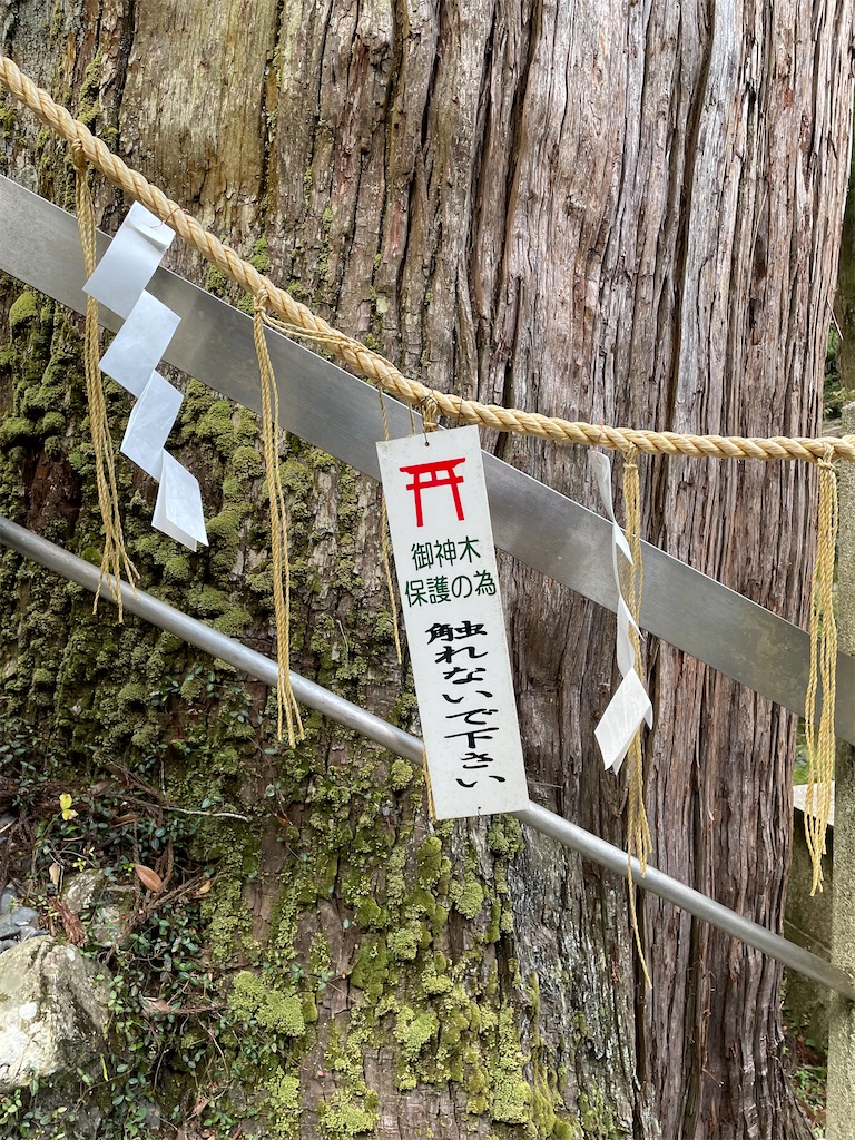 f:id:kamemochi:20221104130016j:image f:id:kamemochi:20221104130016j:image