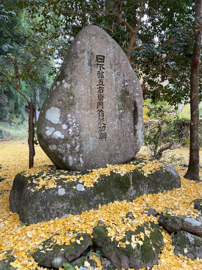 f:id:kamemochi:20221204111438j:image