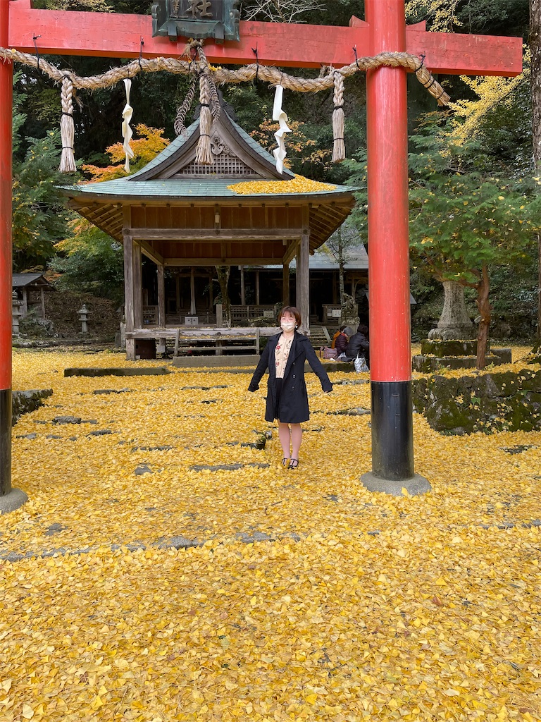 f:id:kamemochi:20221204111441j:image