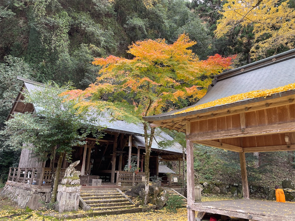 f:id:kamemochi:20221204111457j:image