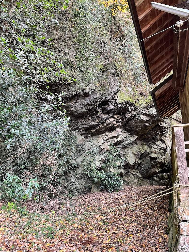 f:id:kamemochi:20221204111500j:image