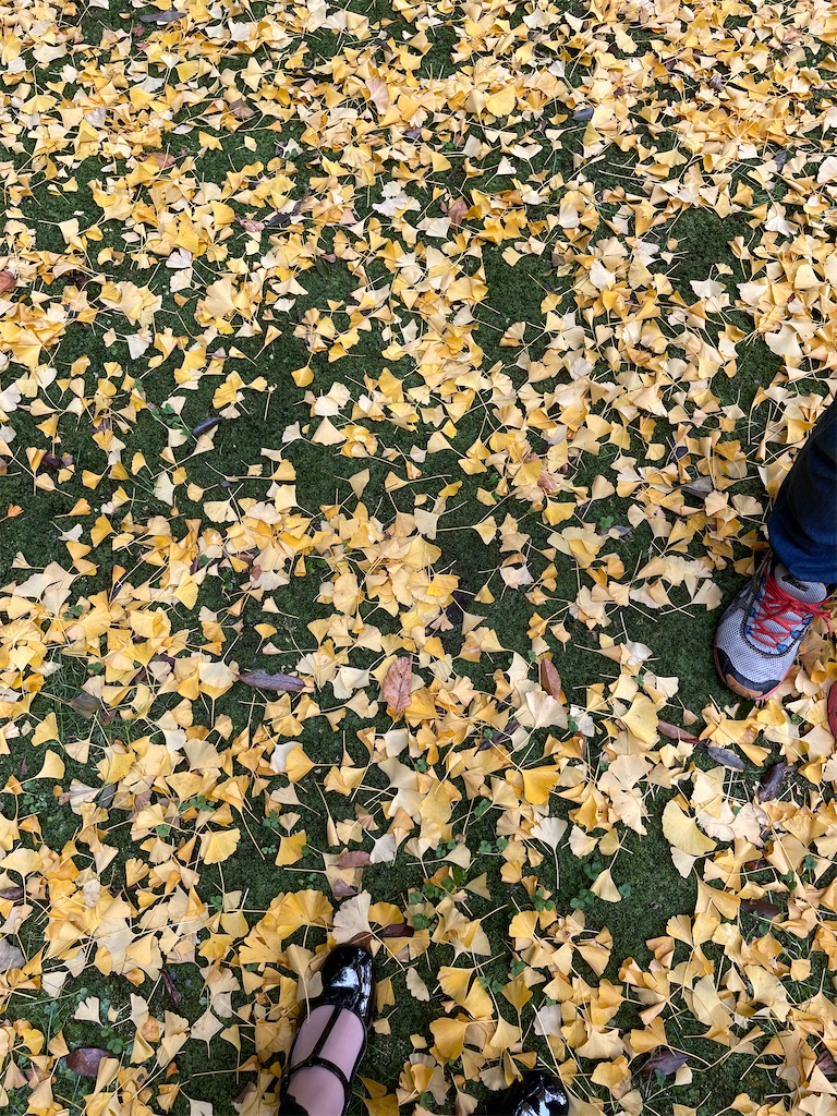 f:id:kamemochi:20221204111503j:image