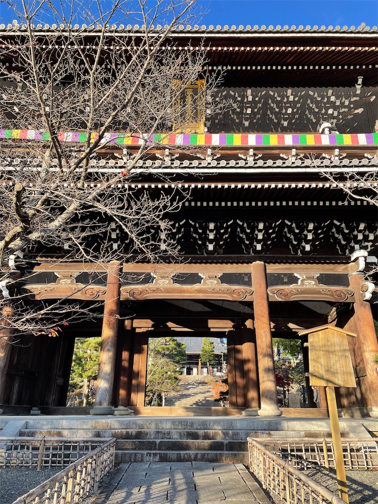 f:id:kamemochi:20221204112435j:image