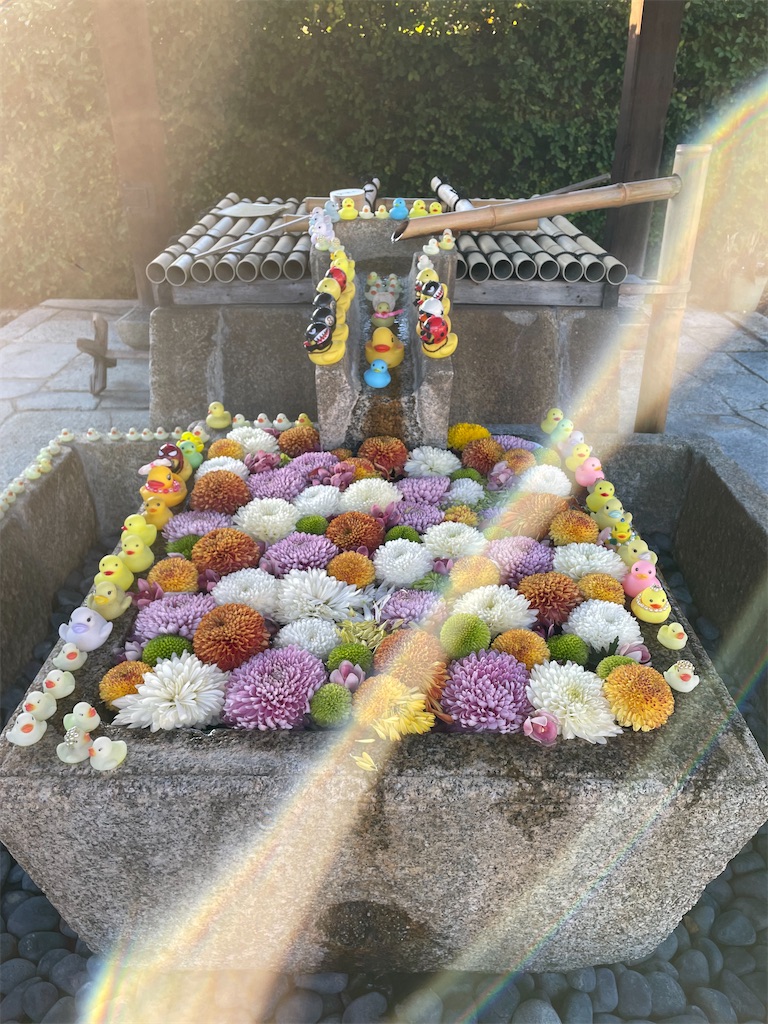 f:id:kamemochi:20221204112438j:image