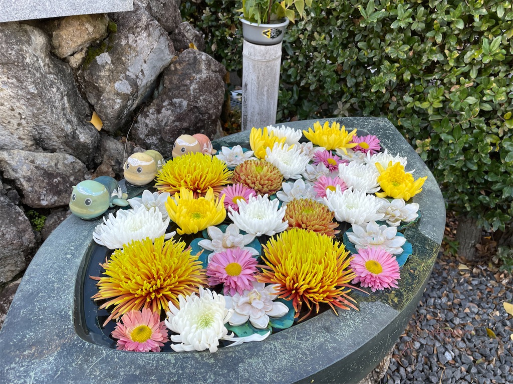 f:id:kamemochi:20221204112450j:image