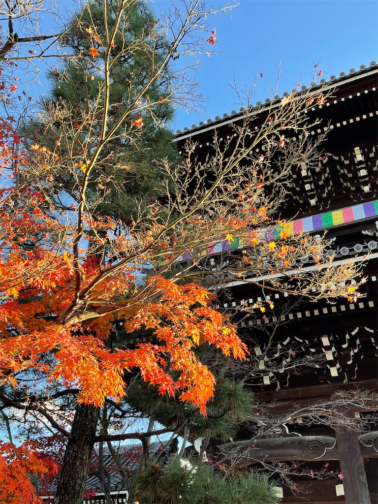 f:id:kamemochi:20221204112453j:image