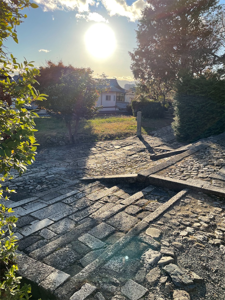 f:id:kamemochi:20221204112456j:image