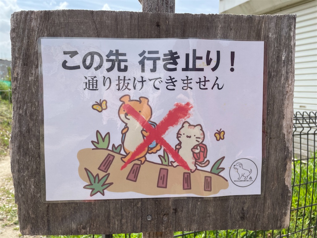 f:id:kamemochi:20230331195935j:image
