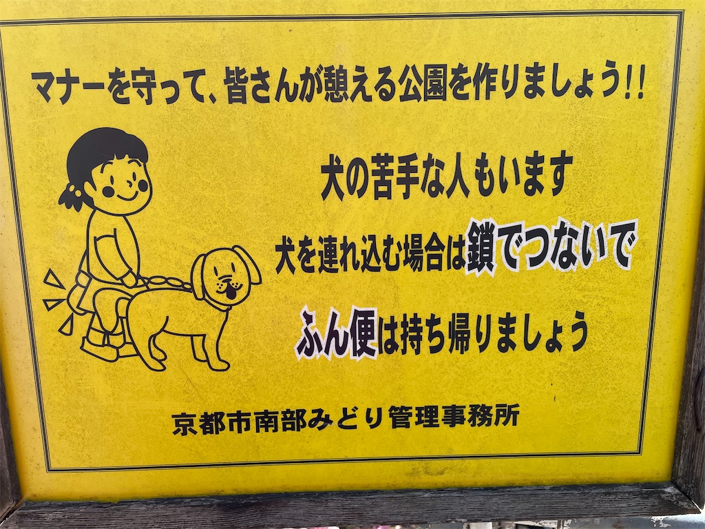 f:id:kamemochi:20230331200041j:image