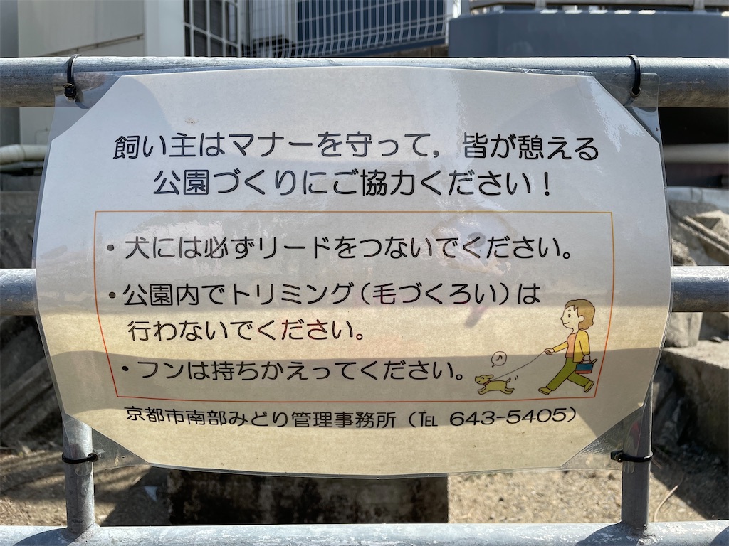 f:id:kamemochi:20230331200045j:image