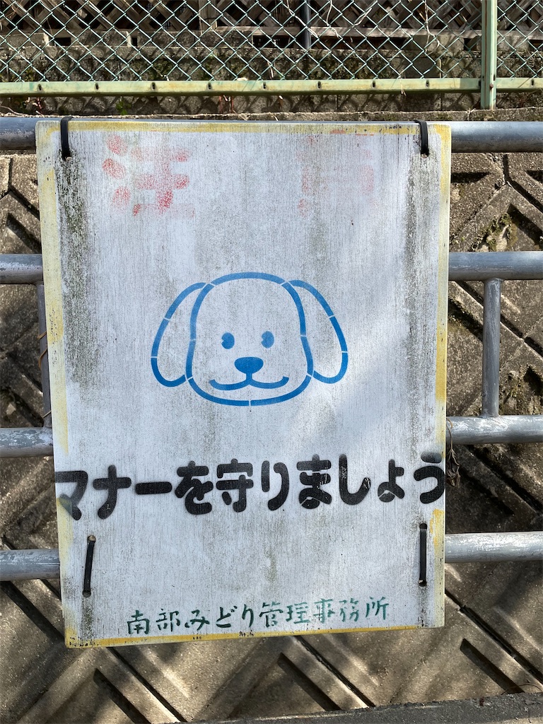 f:id:kamemochi:20230331200048j:image