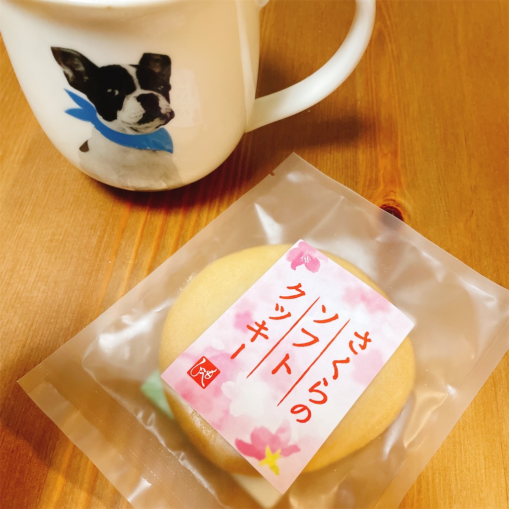 f:id:kamemochi:20230331201017j:image f:id:kamemochi:20230331201017j:image