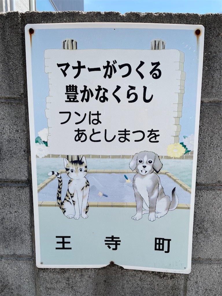 f:id:kamemochi:20230505154813j:image f:id:kamemochi:20230505154813j:image