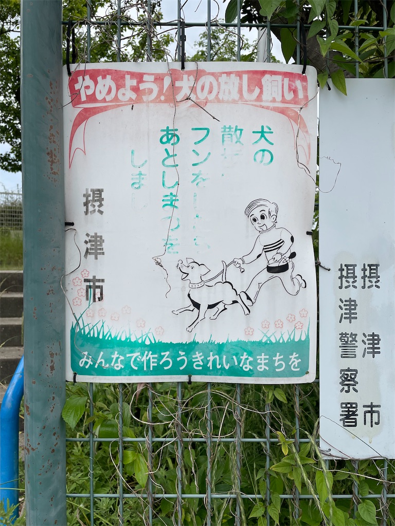 f:id:kamemochi:20230529005216j:image