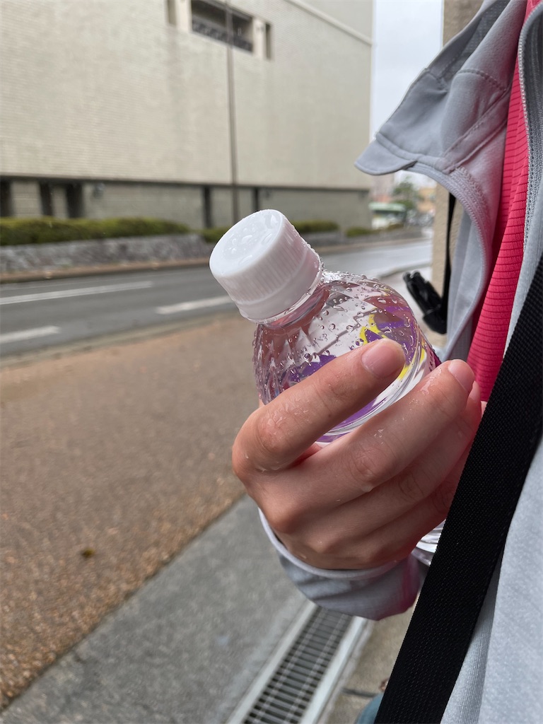 f:id:kamemochi:20230704153102j:image