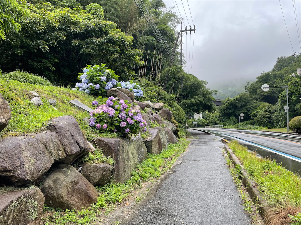 f:id:kamemochi:20230704153412j:image