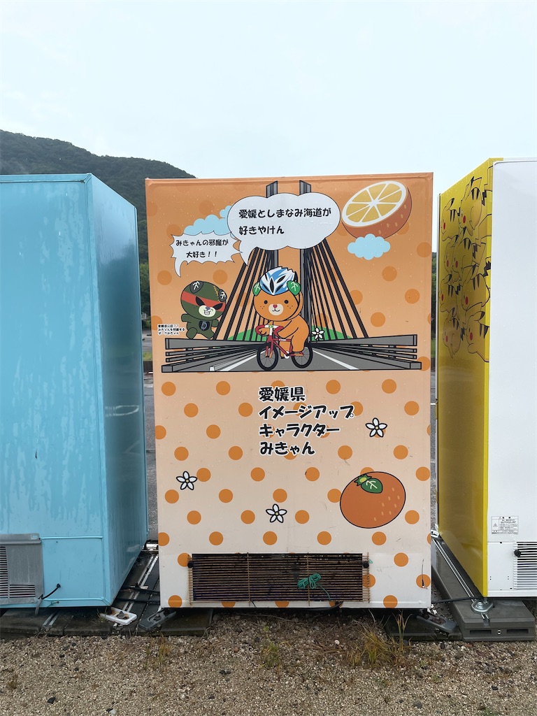 f:id:kamemochi:20230704153424j:image