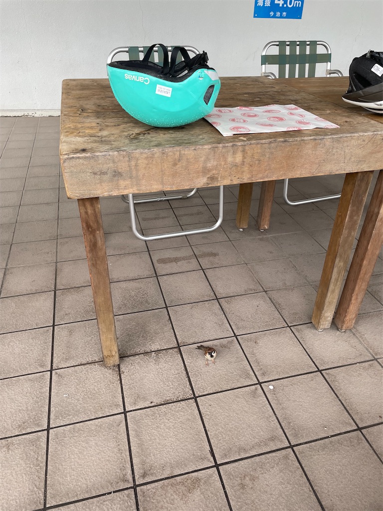 f:id:kamemochi:20230704154314j:image